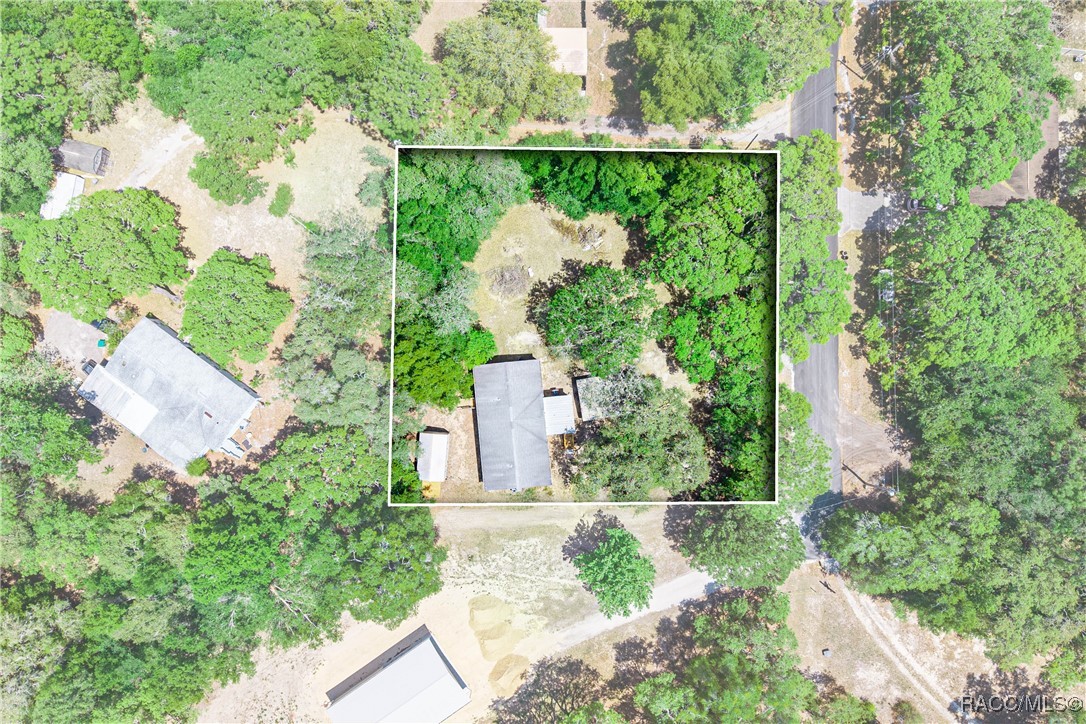 2717 E Buck Court, Inverness, Florida image 29