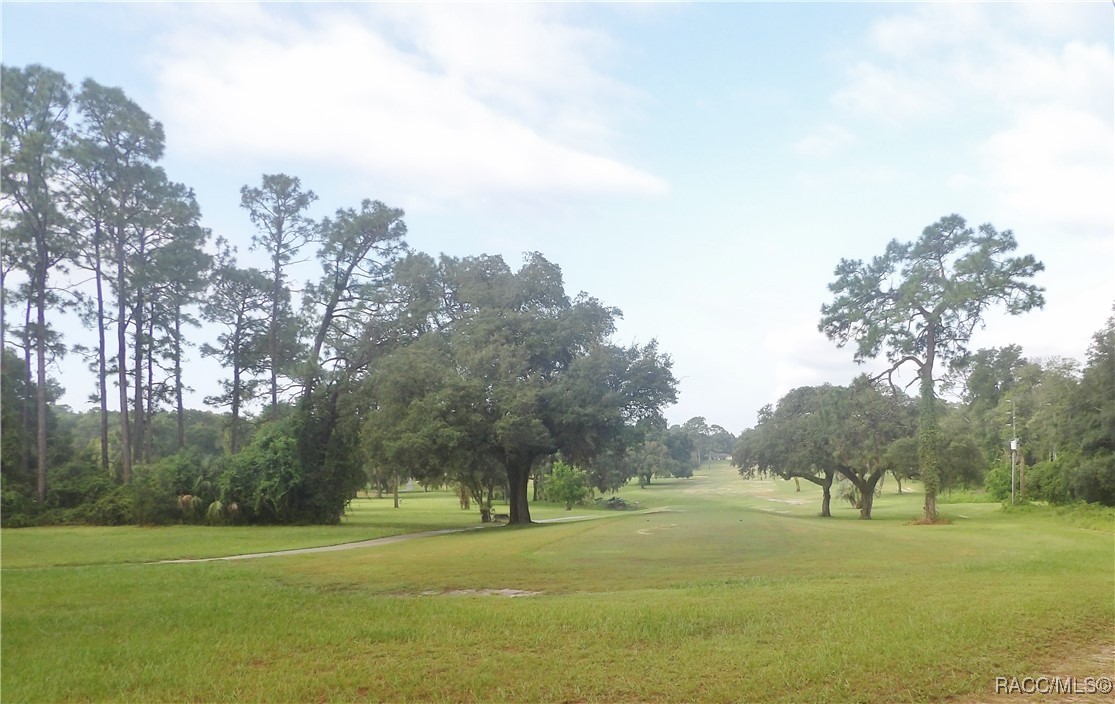 2757 W Fairway Loop, Citrus Springs, Florida image 7