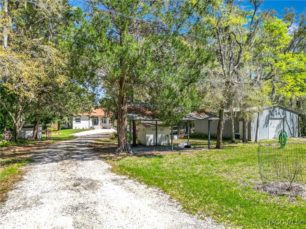 11405 N Honey Jordan Point, Inglis, Florida image 6