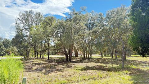 54 N Indianapolis Avenue Hernando FL 34442