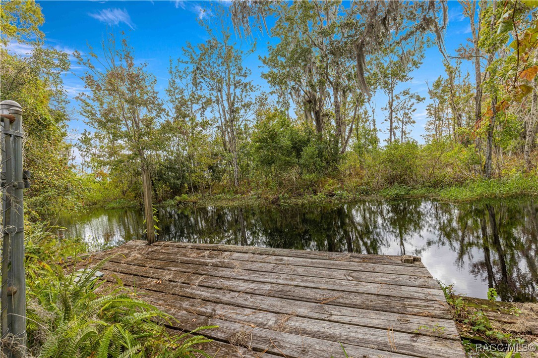 1724 SE 164th Circle, Ocklawaha, Florida image 32