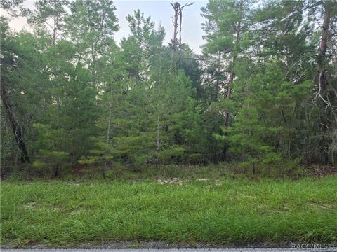 Vacant Land For Sale - 17 Oak Village Boulevard<br/> Homosassa, FL 34446