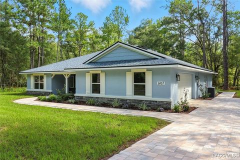 1467 E Odin Drive Citrus Springs FL 34434