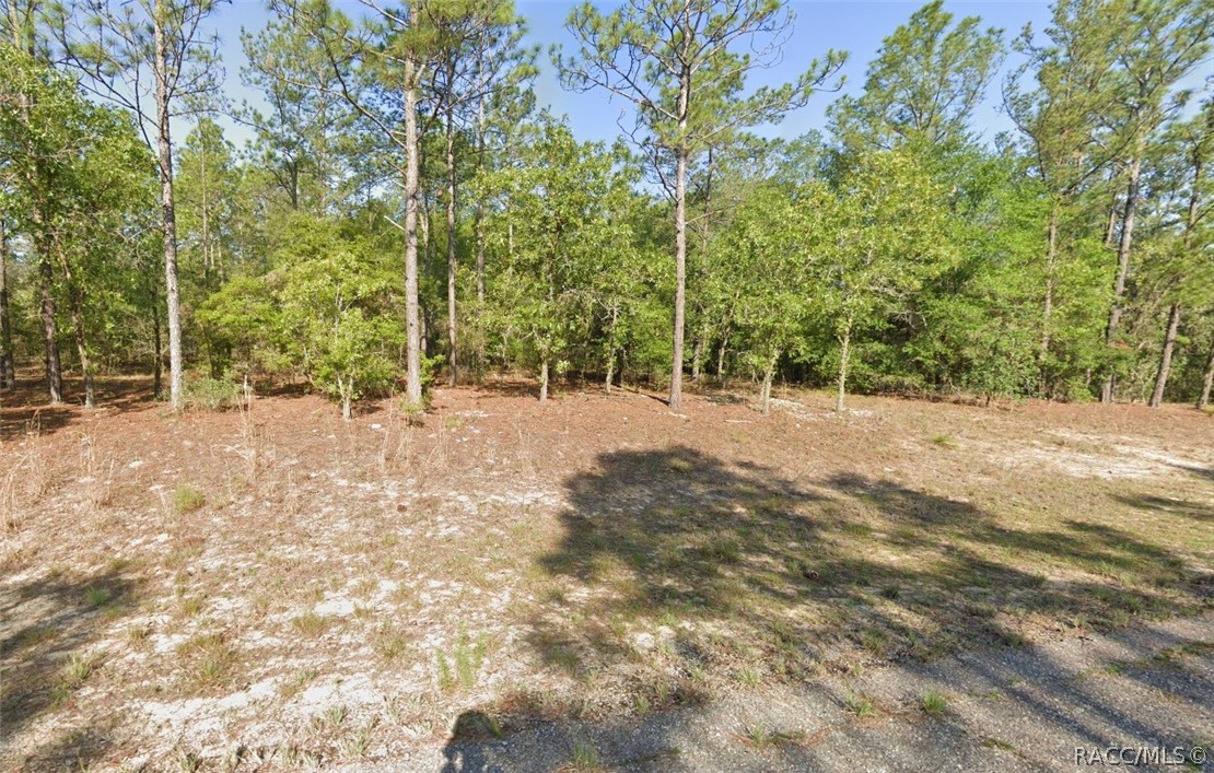 742 E Weldon Lane, Dunnellon, Florida image 3