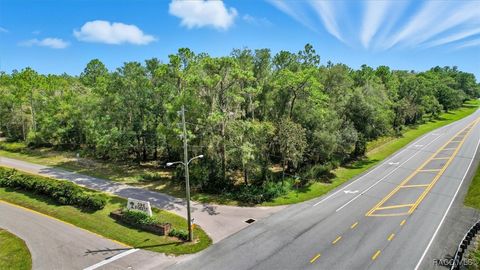 6838 E Oak Forest Street Floral City FL 34436