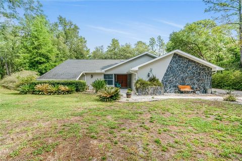 1185 E Getty Lane Hernando FL 34442