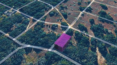 Vacant Land For Sale - 2301 Eisenhower Street<br/> Inverness, FL 34453