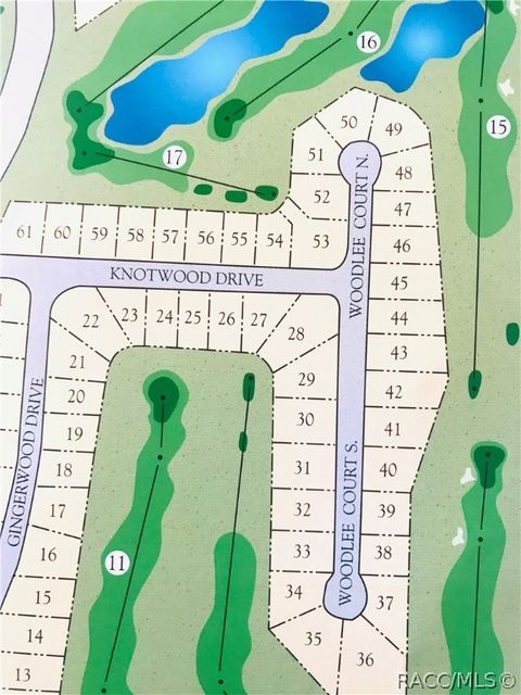 Vacant Land For Sale - 1 Woodlee Court<br/> Homosassa, FL 34446