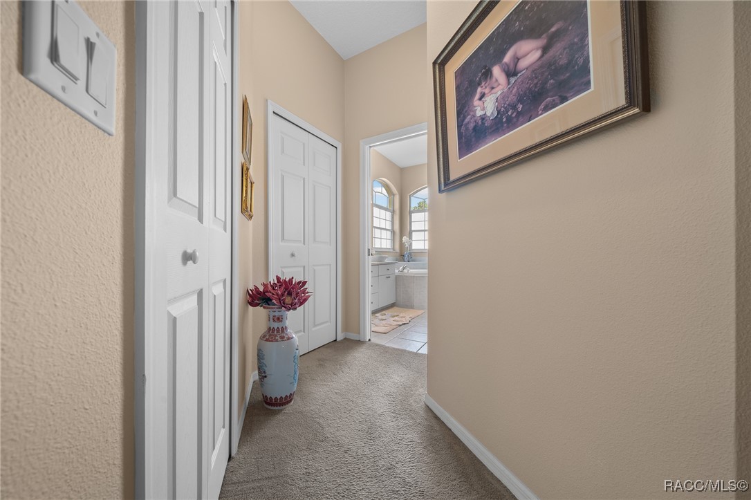 9 Grevillea Court, Homosassa, Florida image 21