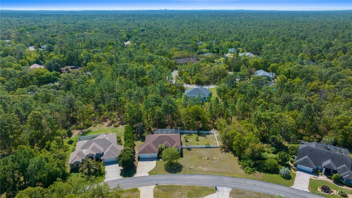 9 Grevillea Court, Homosassa, Florida image 42