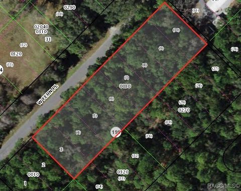 Vacant Land For Sale - 8048 W Fern Place<br/> Homosassa, FL 34448
