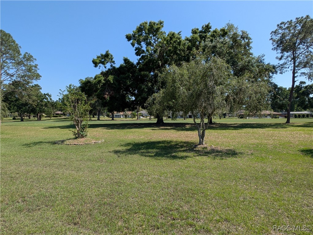 234 E Eureka Court, Hernando, Florida image 4