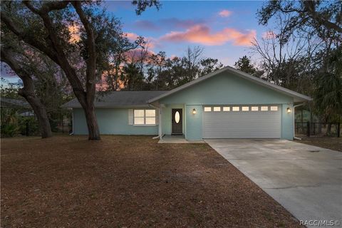 Homes For Sale - 11108 W Thoreau Place<br/> Crystal River, FL 34428