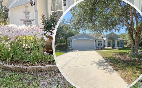 1923 W McNeal Drive Citrus Springs FL 34434