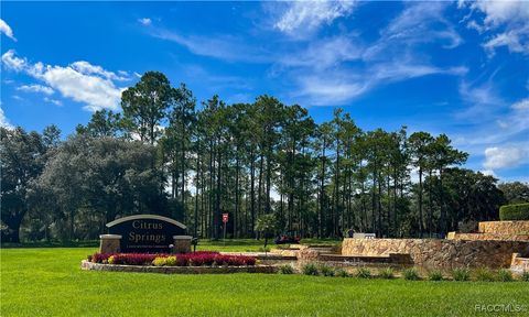 A home in Citrus Springs