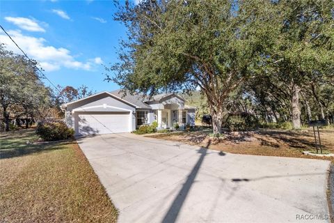 A home in Citrus Springs