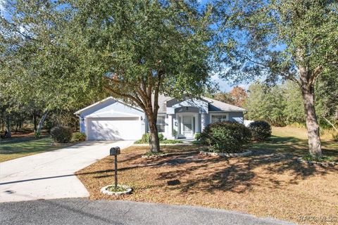 A home in Citrus Springs