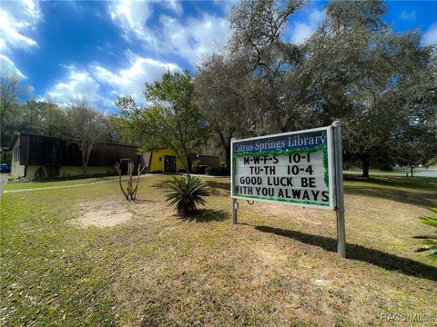 A home in Citrus Springs