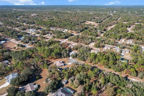 A home in Citrus Springs