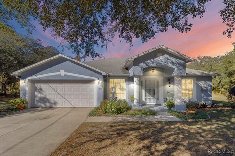 A home in Citrus Springs