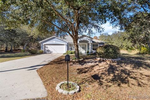 A home in Citrus Springs