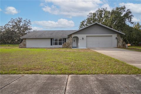 419 Camellia Avenue Inverness FL 34452