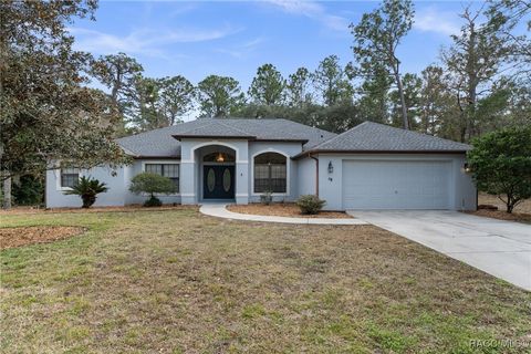 19 Foxglove Court Homosassa FL 34446