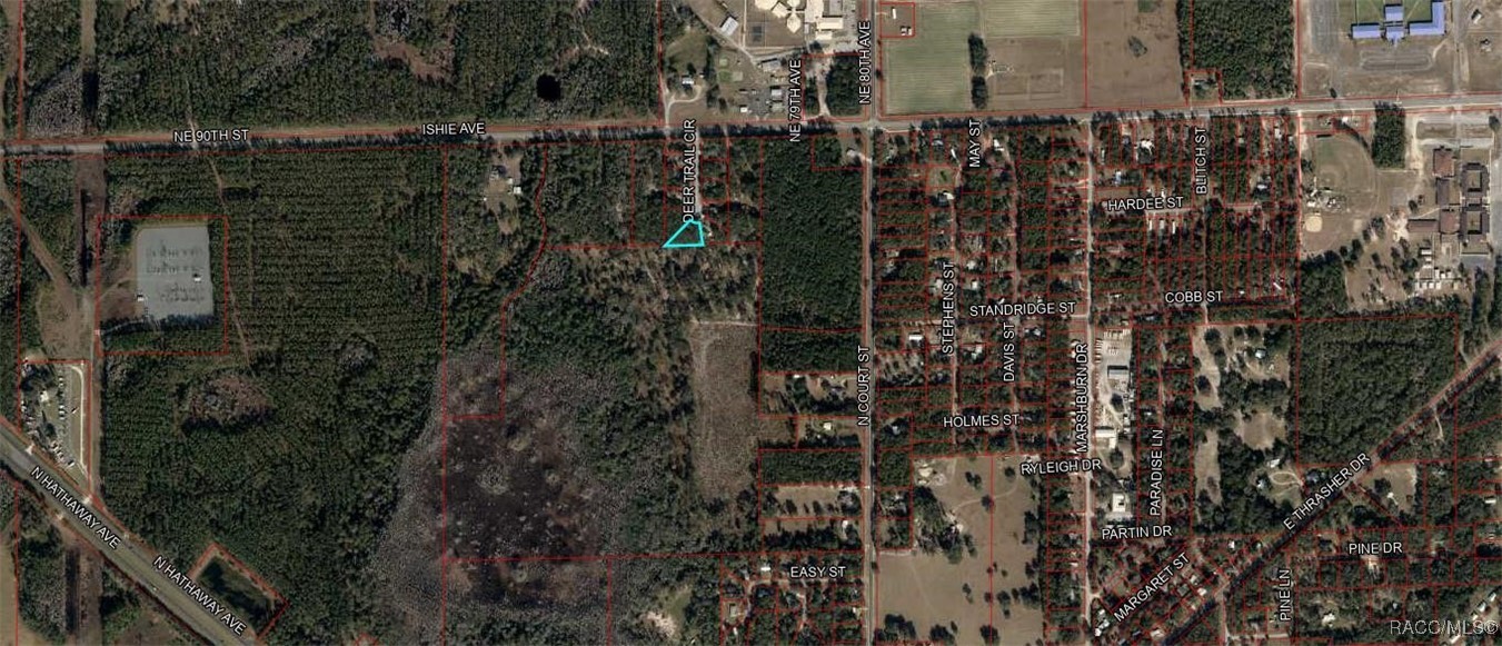 TBD Deer Trail Circle, Bronson, Florida image 3