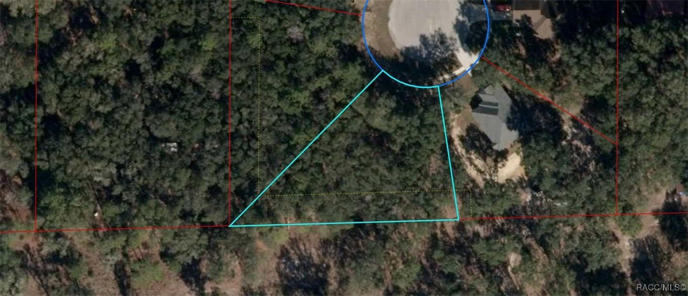 TBD Deer Trail Circle, Bronson, Florida image 1