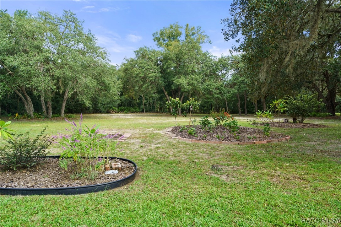 1433 E Ridgefield Drive, Hernando, Florida image 35