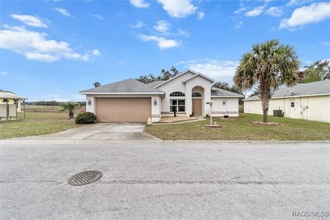 10501 S Drew Bryant Circle Floral City FL 34436