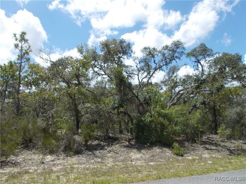 Vacant Land For Sale - 2792 W Gaucho Drive<br/> Citrus Springs, FL 34434