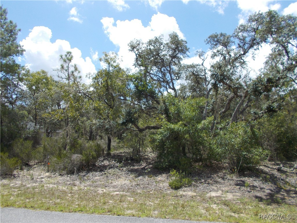 Citrus Springs, Florida 34434, United States, ,Land,Active,196053