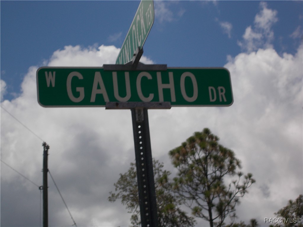 Citrus Springs, Florida 34434, United States, ,Land,Active,196053