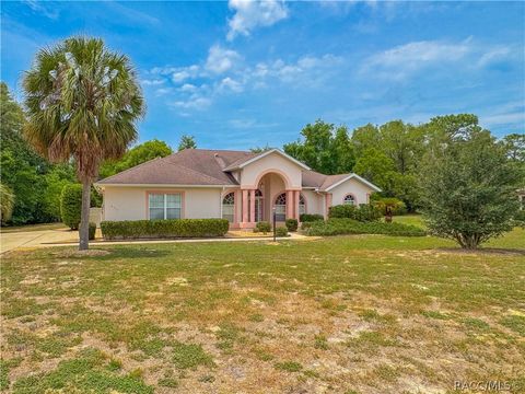 Homes For Sale - 672 N Man O War Drive<br/> Inverness, FL 34453