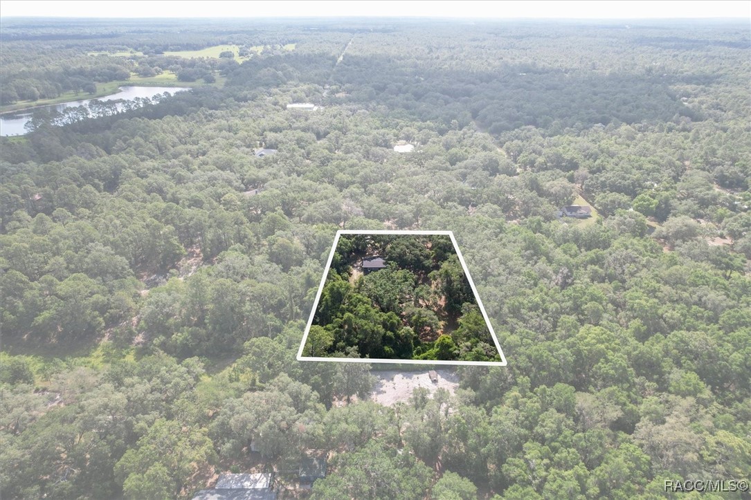 8668 N Elmtree Avenue, Crystal River, New York image 3