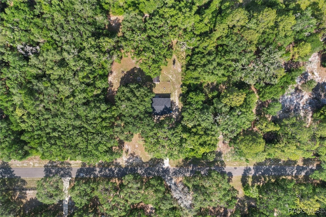 8668 N Elmtree Avenue, Crystal River, New York image 42