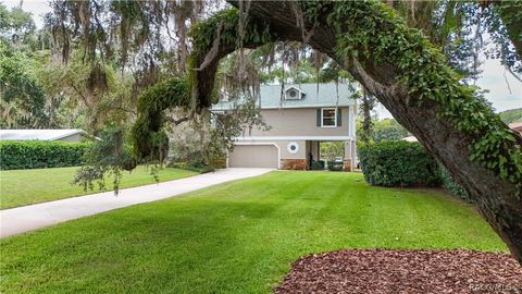 Homes For Sale - 6610 S Merleing Loop<br/> Floral City, FL 34436
