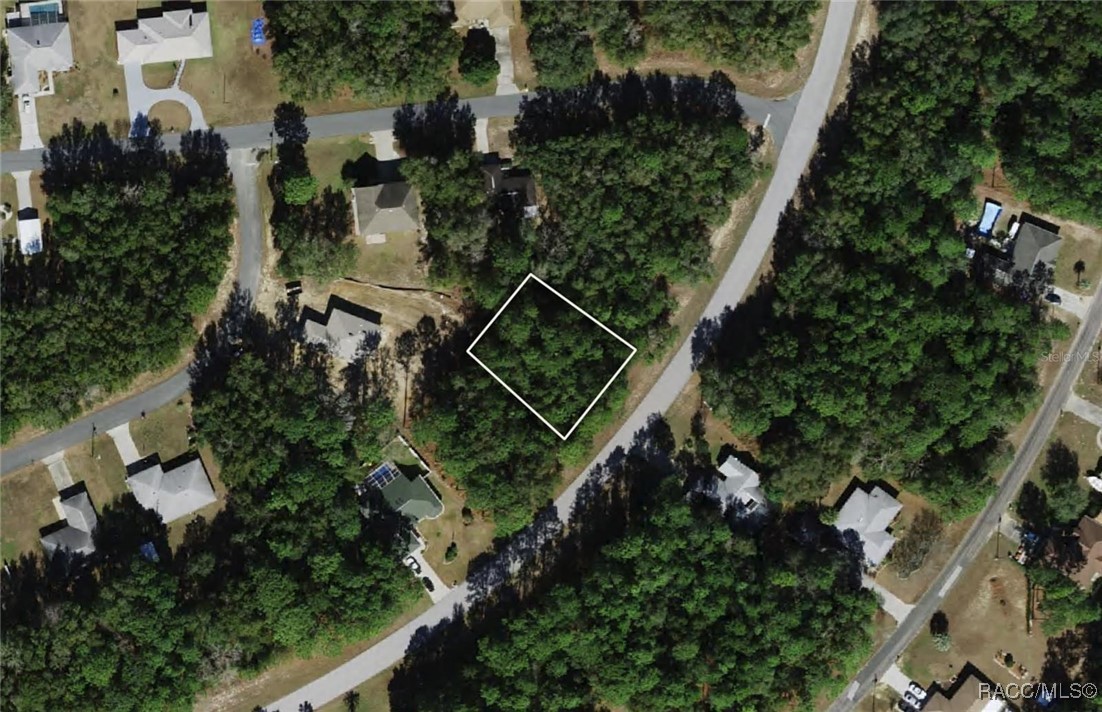 8110 N Golfview Drive, Citrus Springs, Florida image 1