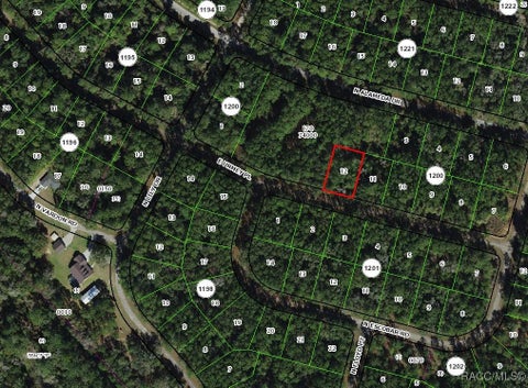 Vacant Land For Sale - 1311 E Urmey Place<br/> Citrus Springs, FL 34434