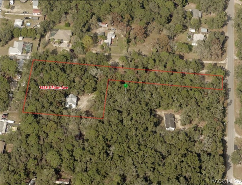 1628 S Palm Avenue, Homosassa, New York image 16