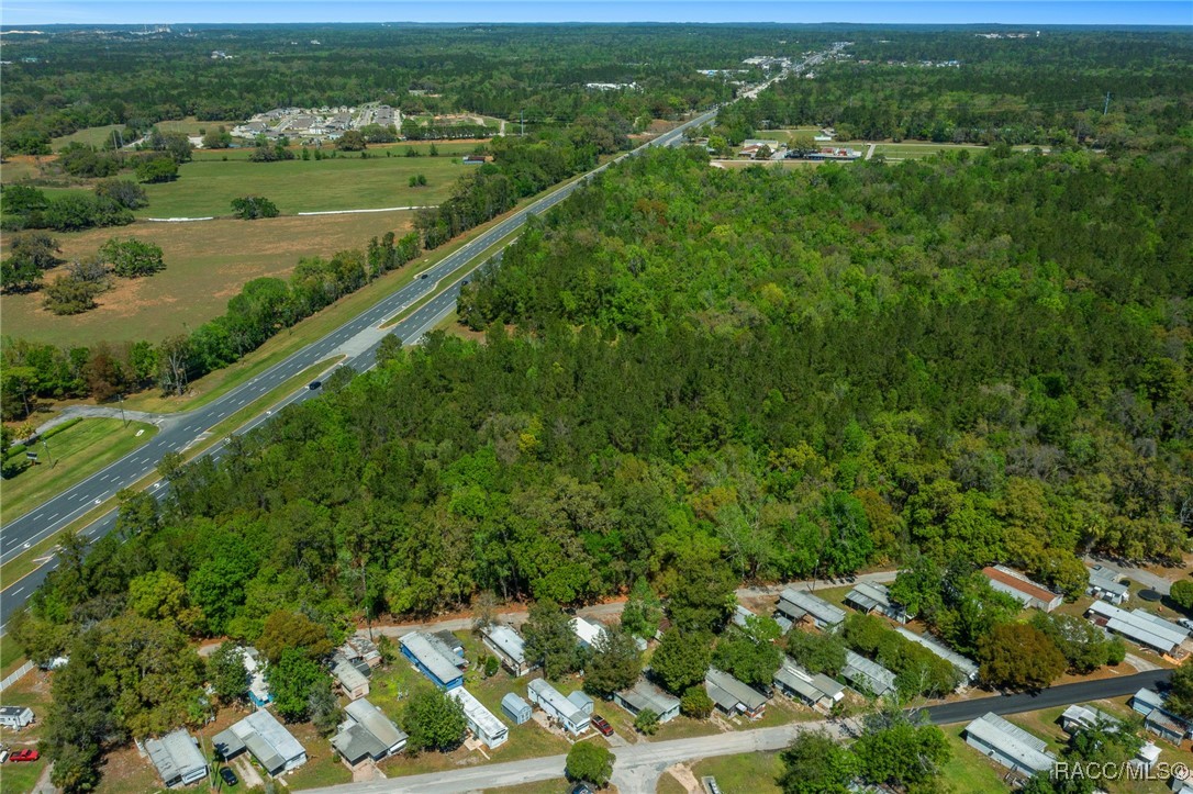 Broad Street, Brooksville, Florida image 6