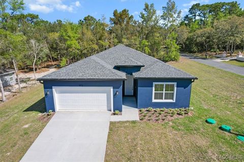 1973 E Celina Street Inverness FL 34453