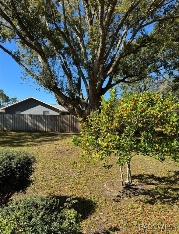 9198 N Sandree Drive, Citrus Springs, Florida image 4