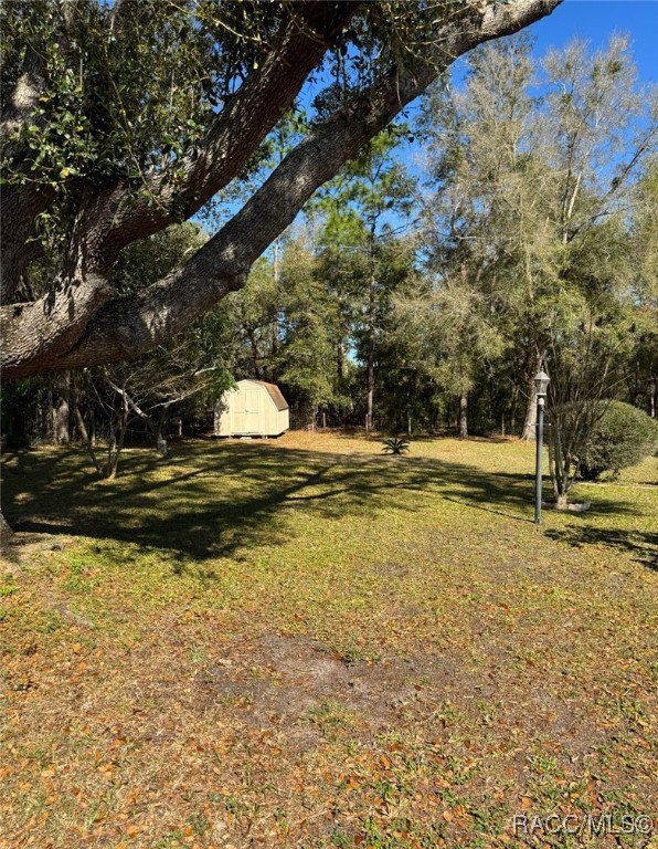 9198 N Sandree Drive, Citrus Springs, Florida image 6