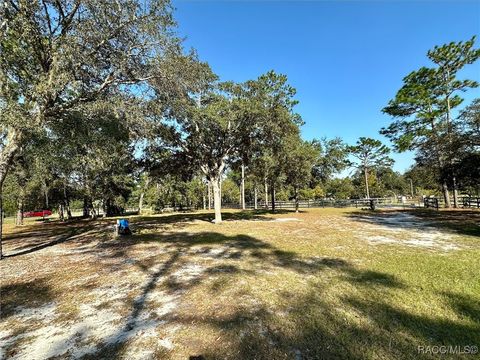 A home in Dunnellon