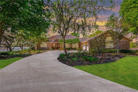 Homes For Sale - 8950 E Eden Walk Court<br/> Inverness, FL 34450