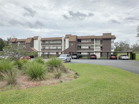 A home in Homosassa