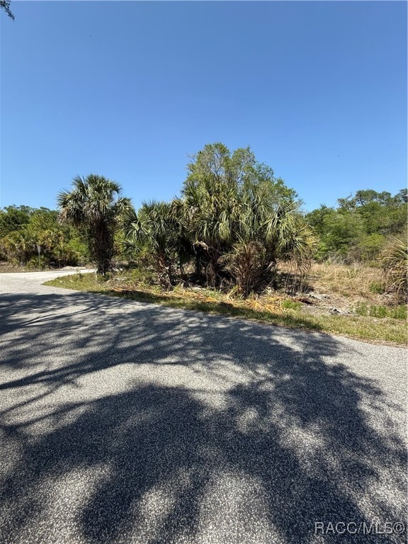 9599 N Cacalia Drive, Crystal River, Florida image 3