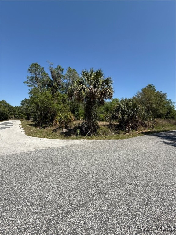 9599 N Cacalia Drive, Crystal River, Florida image 2